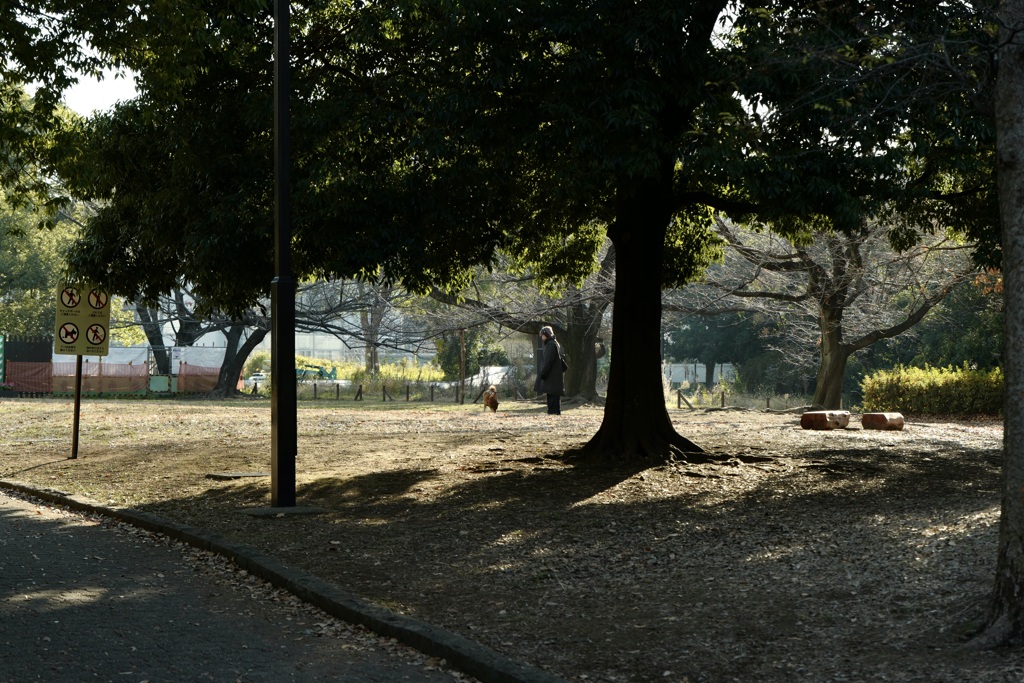 今日は猿江恩賜公園で8時