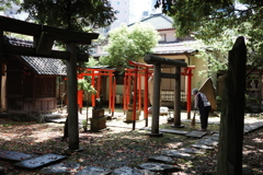 今日は三囲神社で11時