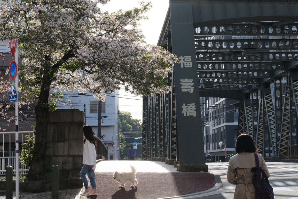 今日は千石で4時