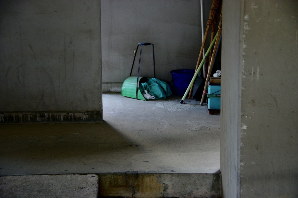 今日は大島で7時