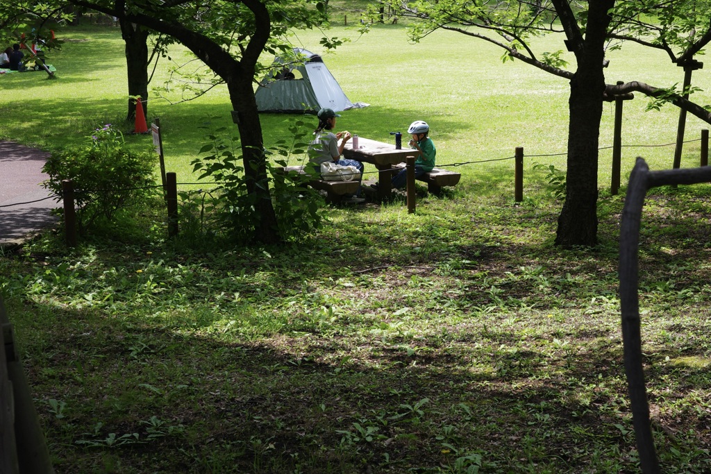 今日は足立農業公園で12時