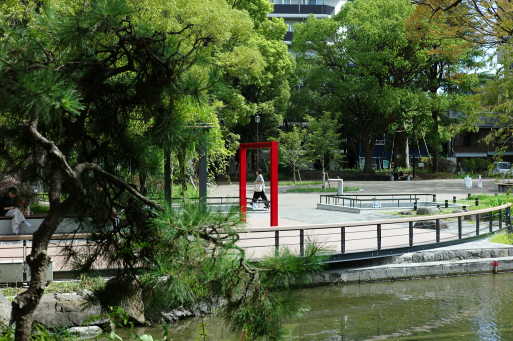 今日は隅田公園で1時