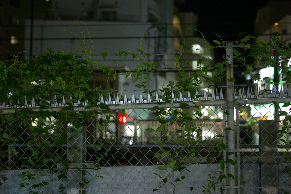 今日も東中野で10時