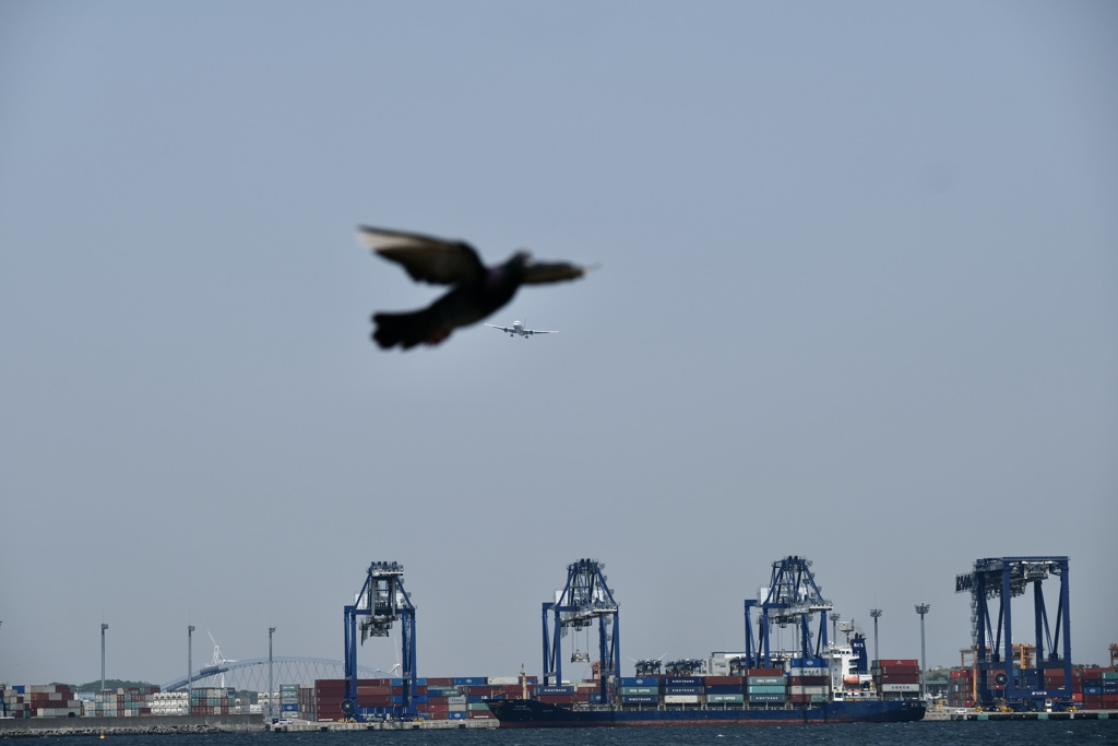 今日は城南島で1時