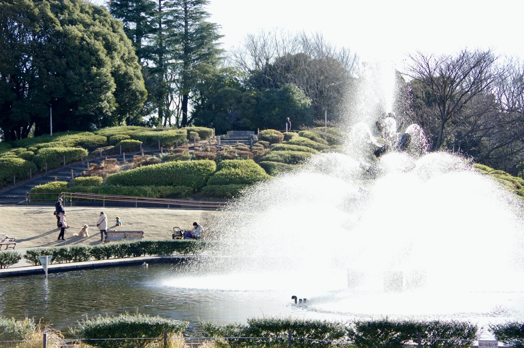 今日は世田谷公園で8時