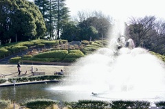 今日は世田谷公園で8時