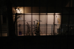 今日は亀戸で5時