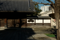 今日は浅草で8時