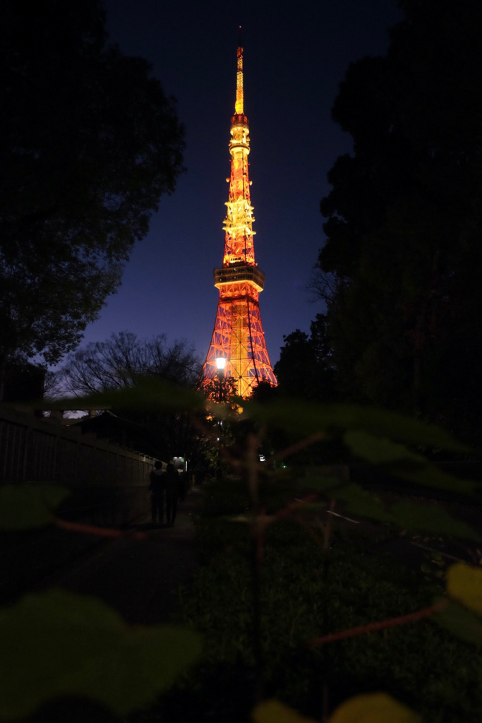 今日は芝で４時