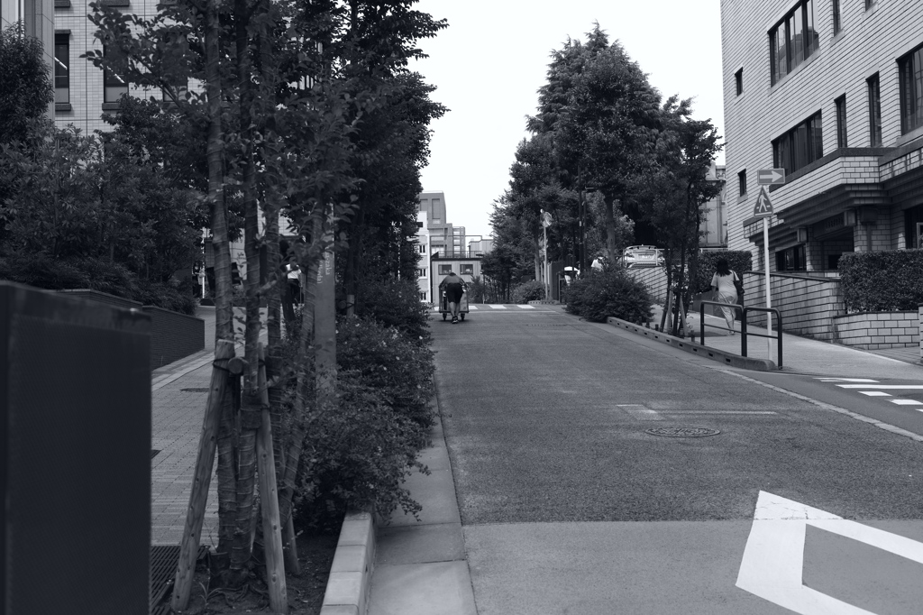 今日はお茶の水で1時