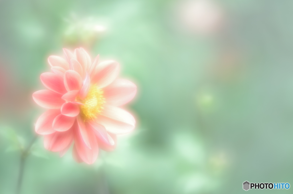 「移り気」