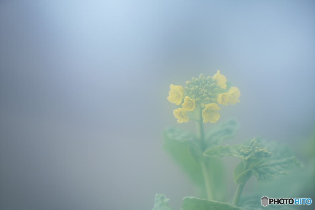 「小さな幸せ」
