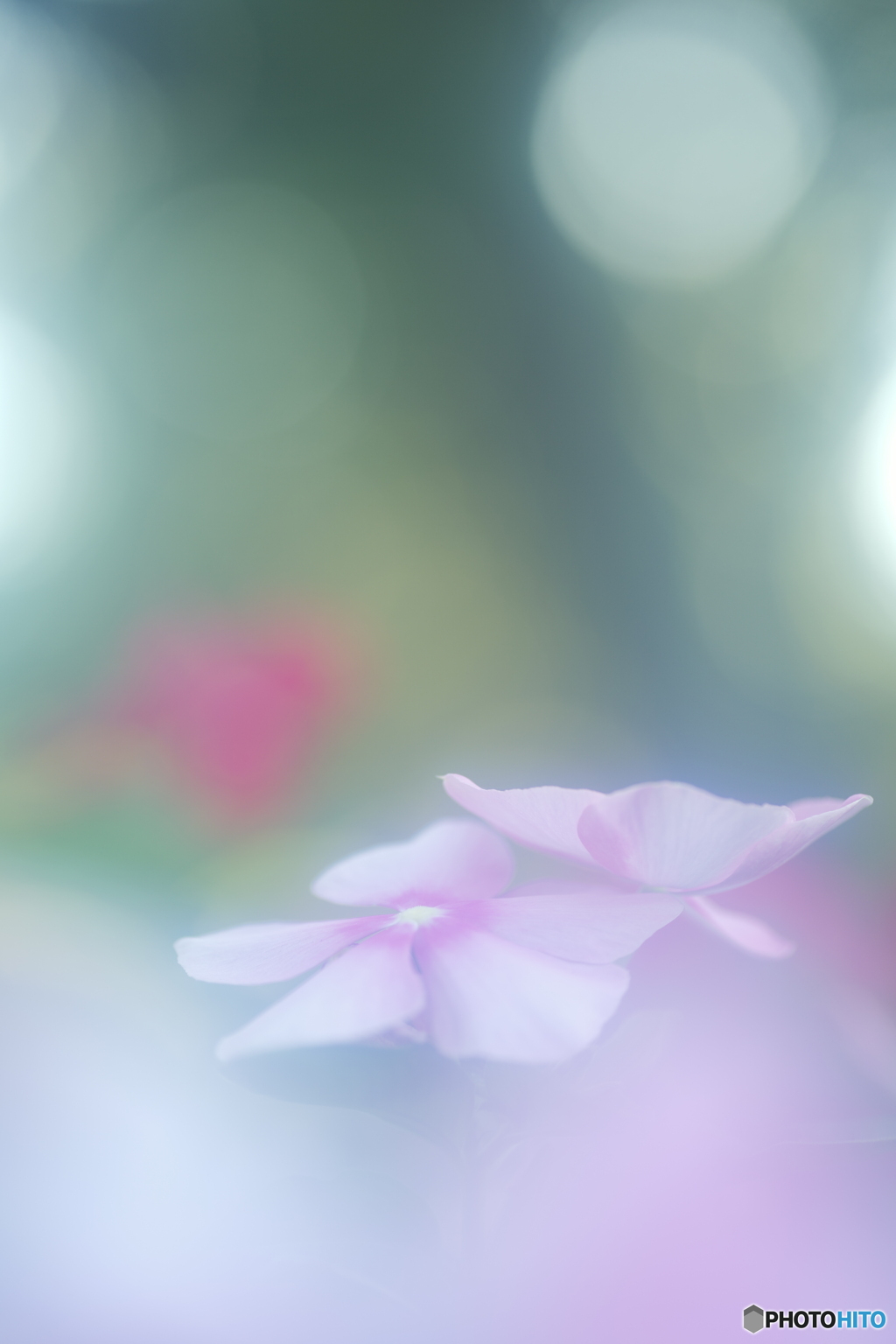 「やさしい記憶」