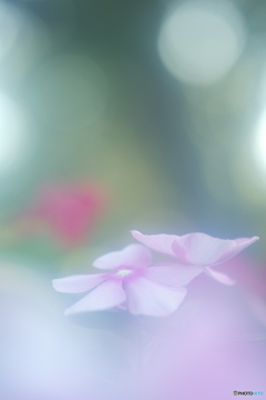 「やさしい記憶」