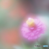 「いつまでも変わらぬ心」