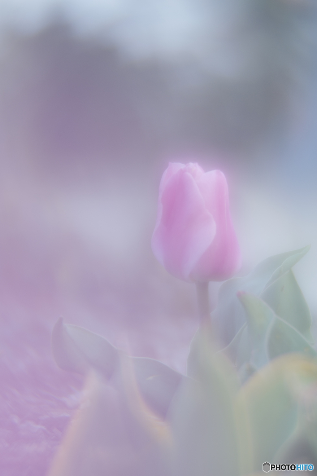 「博愛」