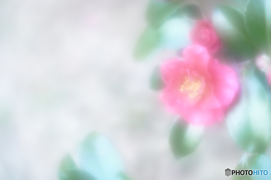 「lbsfii」