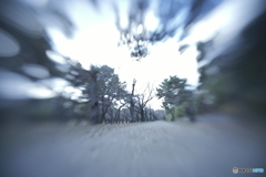 「低空飛行」