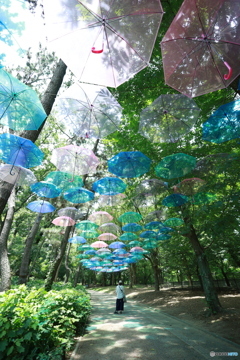 「Umbrella」