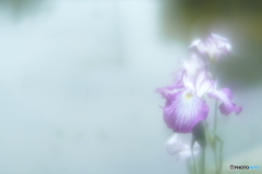 「すみっこに萌えるｗ」