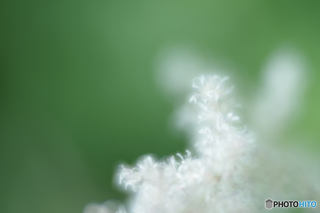「雪の華」