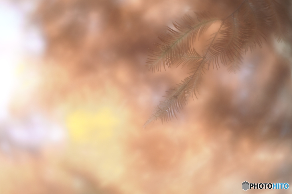 「Gradation」