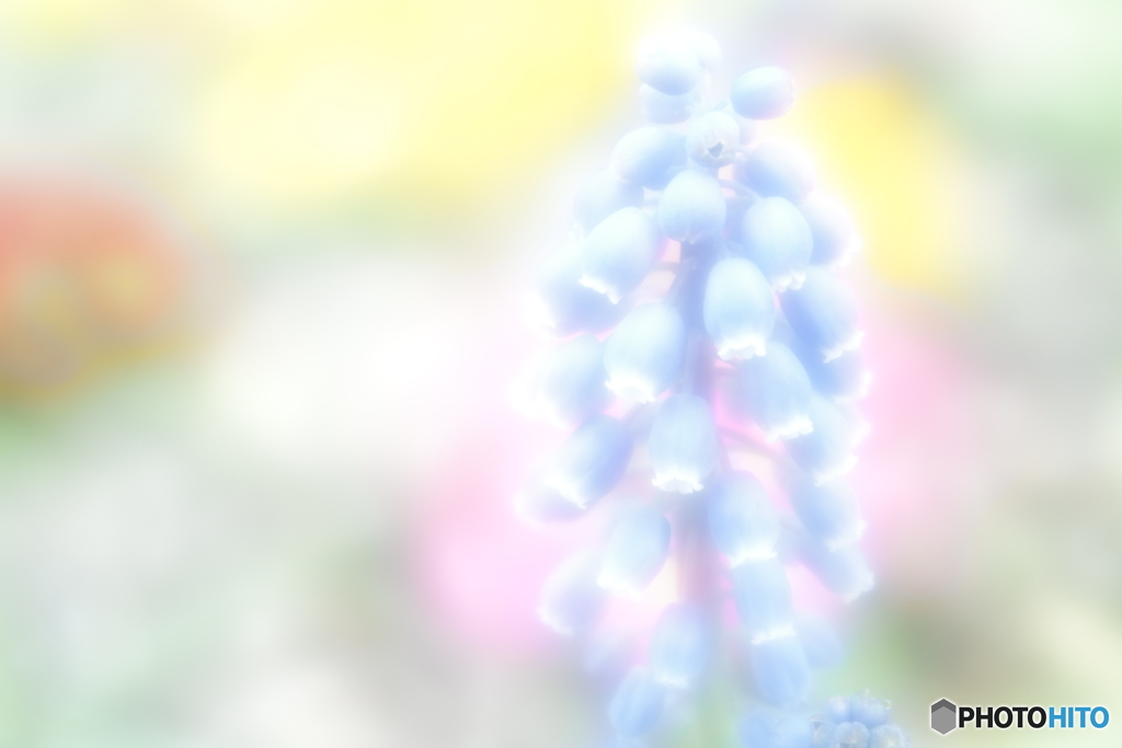 「失意」