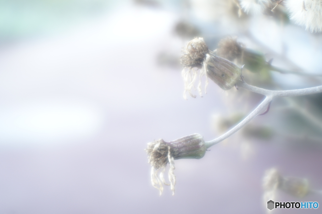 「Final」