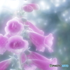 「もう少しだけ・・・」