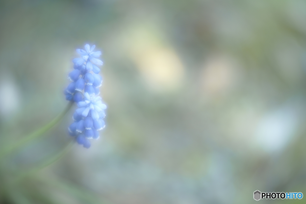 「close your eyes」