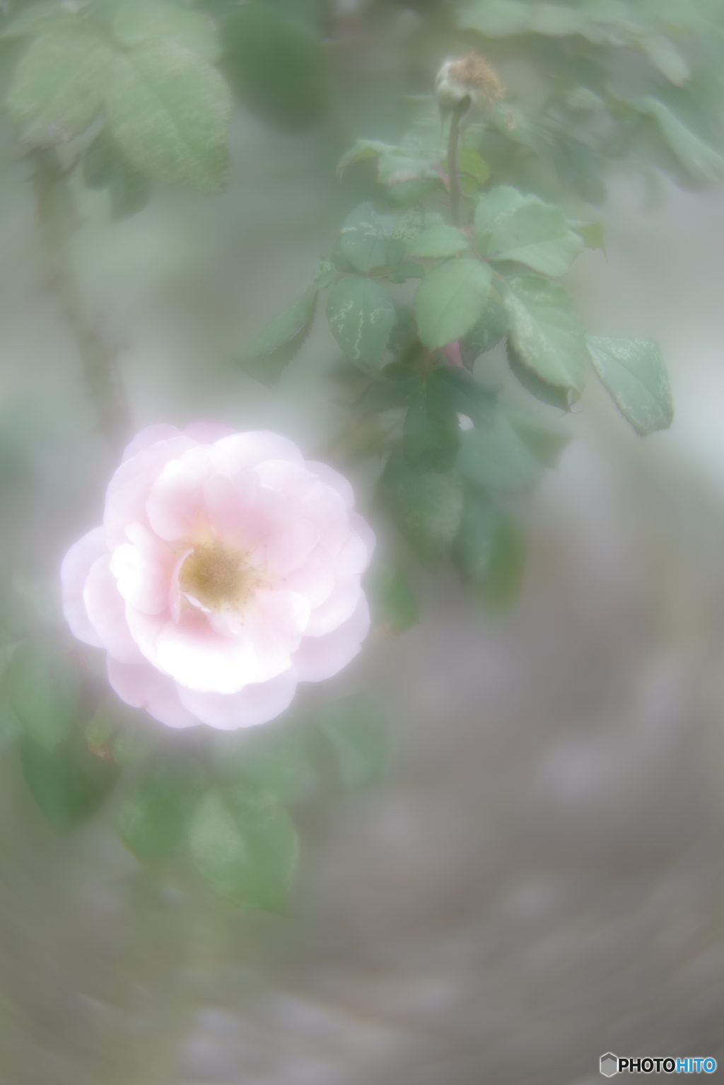 「Distant Drums」