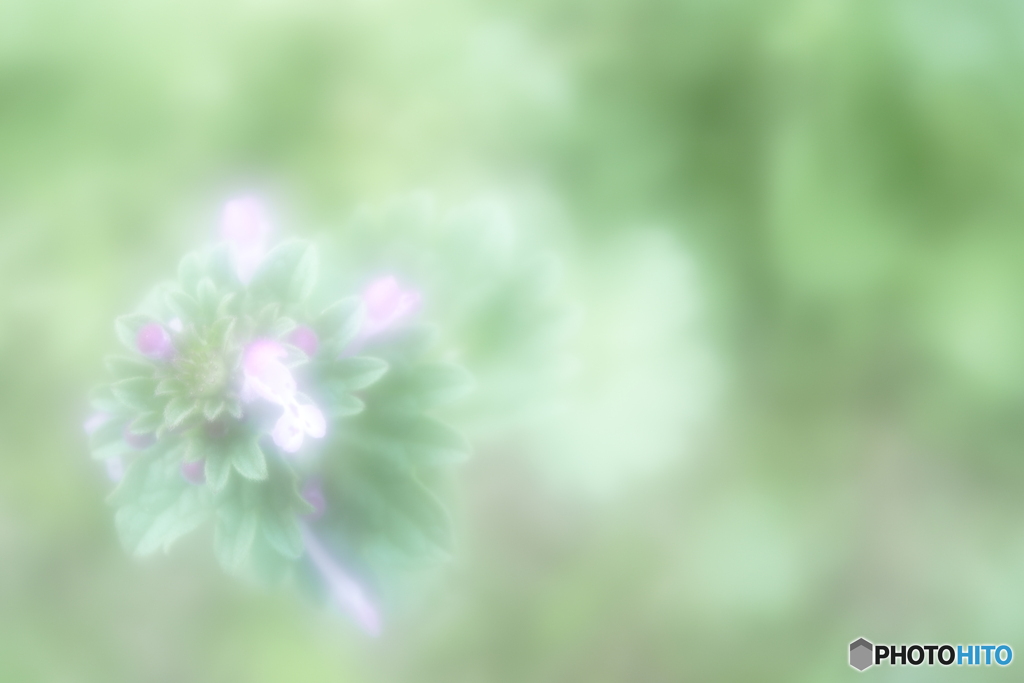 「3540」