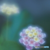 「心変わり」
