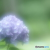 「悲しみの果て」