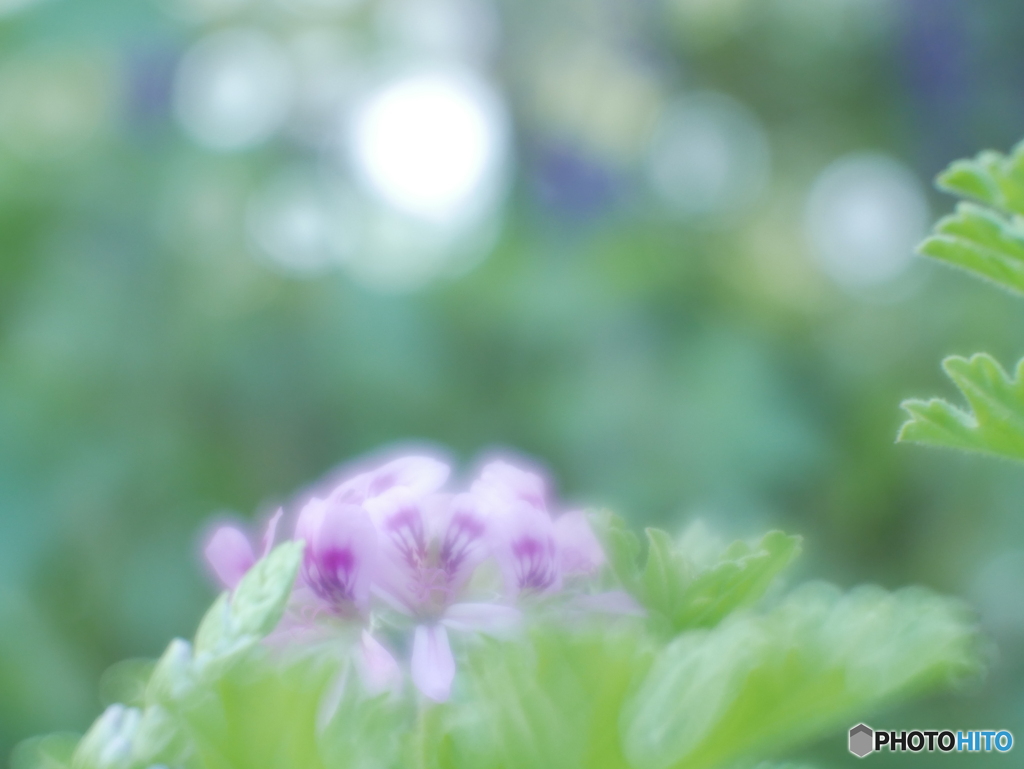 「吐息」