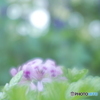 「吐息」