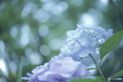 「Ballet dancer」