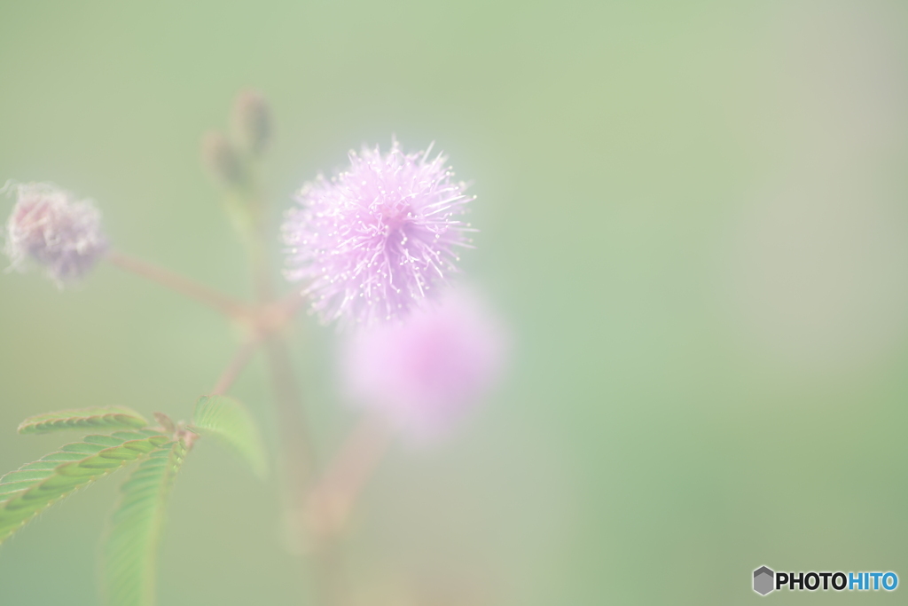 「敏感」