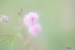 「敏感」