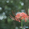 「September」