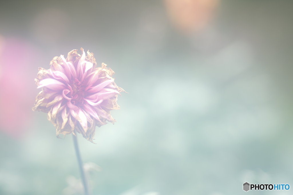 「円熟か・・・」