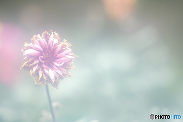 「円熟か・・・」