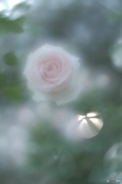 「さくらいろ」
