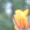 「永遠」