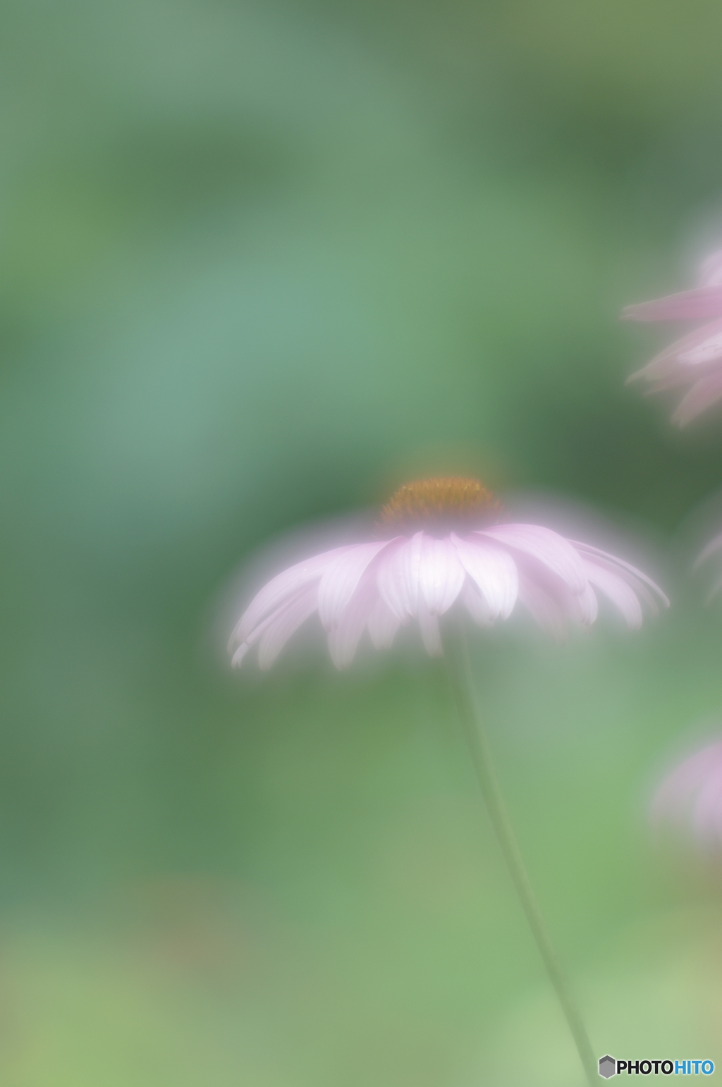 「主演」