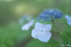 「悩む・・・」