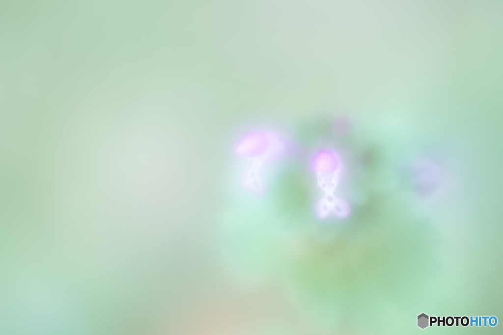 「8+16」