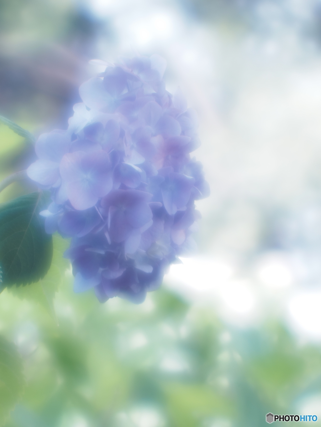 「何時もの・・・」