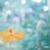「南風」
