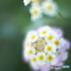 「心変わり」